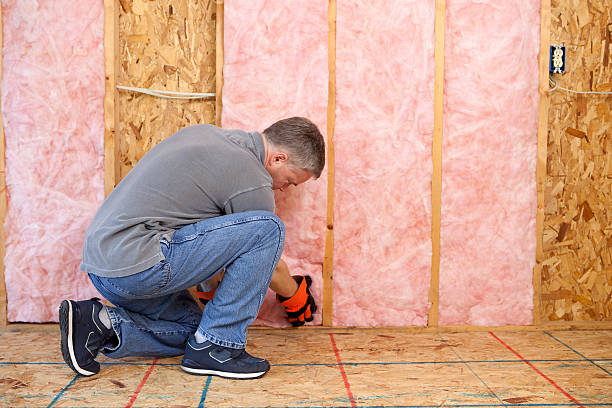 Best Insulation Maintenance and Repair in Capron, IL